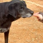 stella_IMG_7740