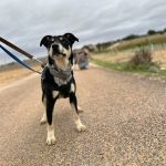 Stitch_2025-11-15 at 16-06