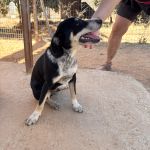 Stitch_IMG_0279