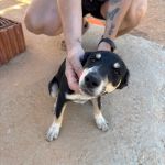 Stitch_IMG_0282