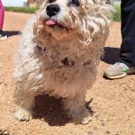 Sunny_2026-04-26 at 19-19-15