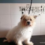 Sunny_2026-05-18 at 16-25-26