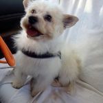 Sunny_2026-05-18 at 16-25-27