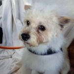 Sunny_2026-05-18 at 16-25-28