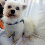 Sunny_2026-05-18 at 16-25-29