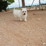 Sunny_2026-05-18 at 16-25-30