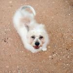 Sunny_2026-05-18 at 16-25-31