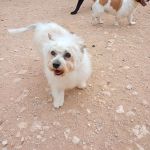 Sunny_2026-05-18 at 16-25-32