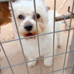 Sunny_2026-05-18 at 16-25-33