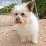 Sunny_2026-05-18 at 16-25-34