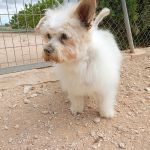 Sunny_2026-05-18 at 16-25-35
