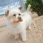 Sunny_2026-05-18 at 16-25-36