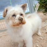 Sunny_2026-05-18 at 16-25-37