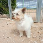 Sunny_2026-05-18 at 16-25-38