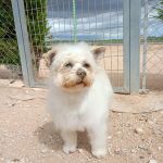 Sunny_2026-05-18 at 16-25-39