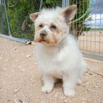 Sunny_2026-05-18 at 16-25-40