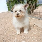 Sunny_2026-05-18 at 16-25-41