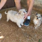 Sunny, Butch, Polly_IMG-20260501-WA0419