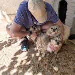 Sunny, Butch, Polly_IMG-20260501-WA0498