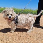 Sunny_IMG_20260426_133541