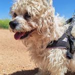 Sunny_IMG_20260426_133545