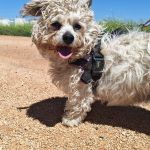 Sunny_IMG_20260426_133553