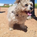 Sunny_IMG_20260426_133608