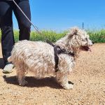 Sunny_IMG_20260426_133622