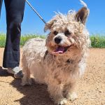 Sunny_IMG_20260426_133631