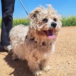 Sunny_IMG_20260426_133634