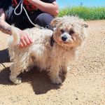 Sunny_IMG_20260426_133826