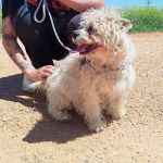 Sunny_IMG_20260426_133828