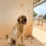 Susi_IMG_2948