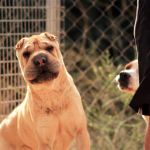 Tara_IMG_5961