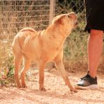 Tara_IMG_5962