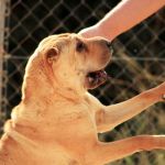 Tara_IMG_5977