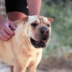 Tara_IMG_6008