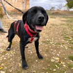 Theo_2025-11-15 13-05-31