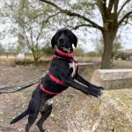 Theo_2025-11-15 at 13--31