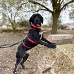 Theo_2025-11-15 at 13-05-31