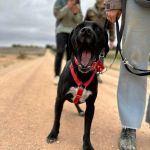 Theo_2025-11-15 at 13-05-32