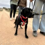 Theo_2025-11-15 at 13-05-33