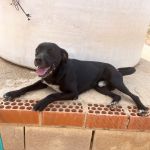 Theo_IMG_3197