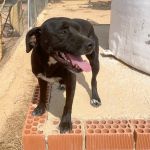 Theo_IMG_3199