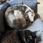 Theo_(Richi)_20220619_163750883