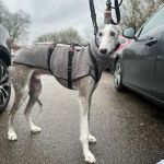 Theo_(Richi)_2026-02-14 at 16-01-07