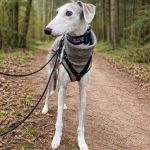 Theo_(Richi)_2026-02-14 at 17-4-16