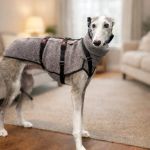 Theo_(Richi)_2026-02-14 at 17-48-16