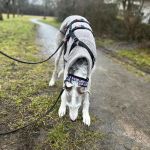 Theo_(Richi)_2026-02-14 at 20-14-59