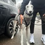 Theo_(Richi)_2026-02-15 at 16-01-07